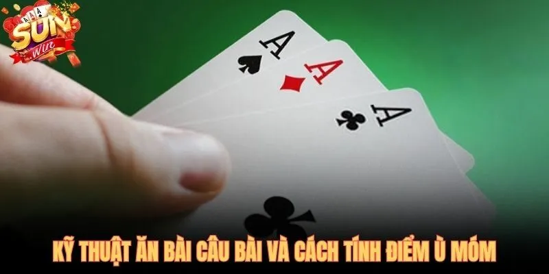 Ranh giới giữa biết luật và liên tục thắng trong phỏm SUNWIN